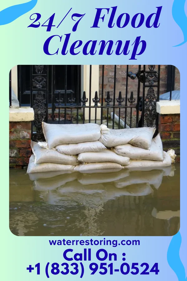 24/7 Flood Cleanup in Pelzer, SC