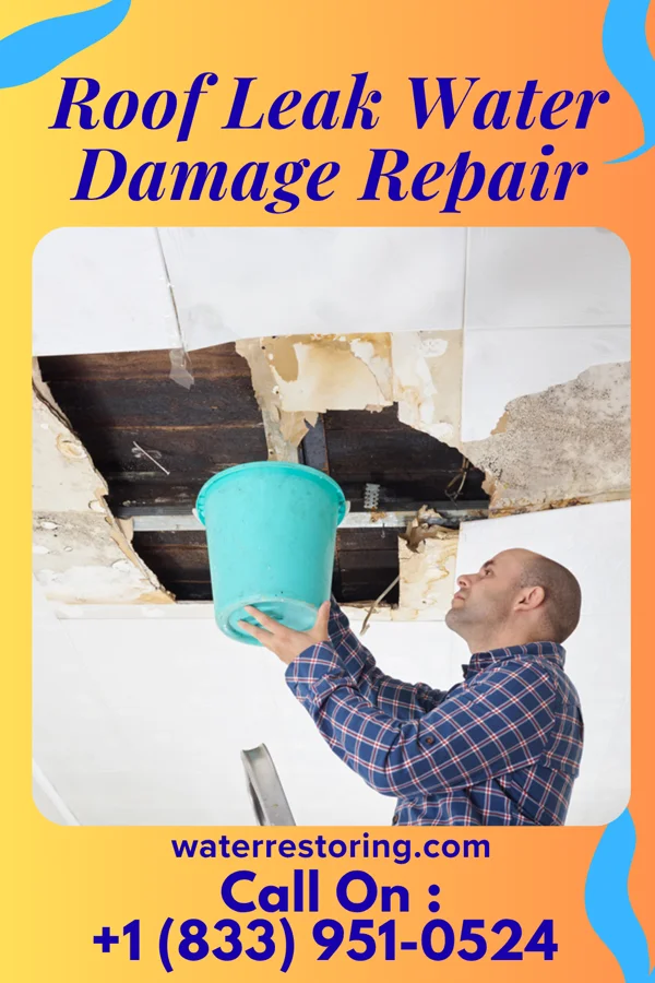 Roof Leak Water Damage Repair in Pelzer, SC