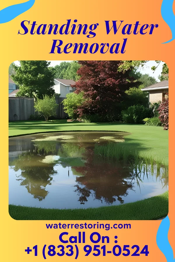 Standing Water Removal in Pelzer, SC